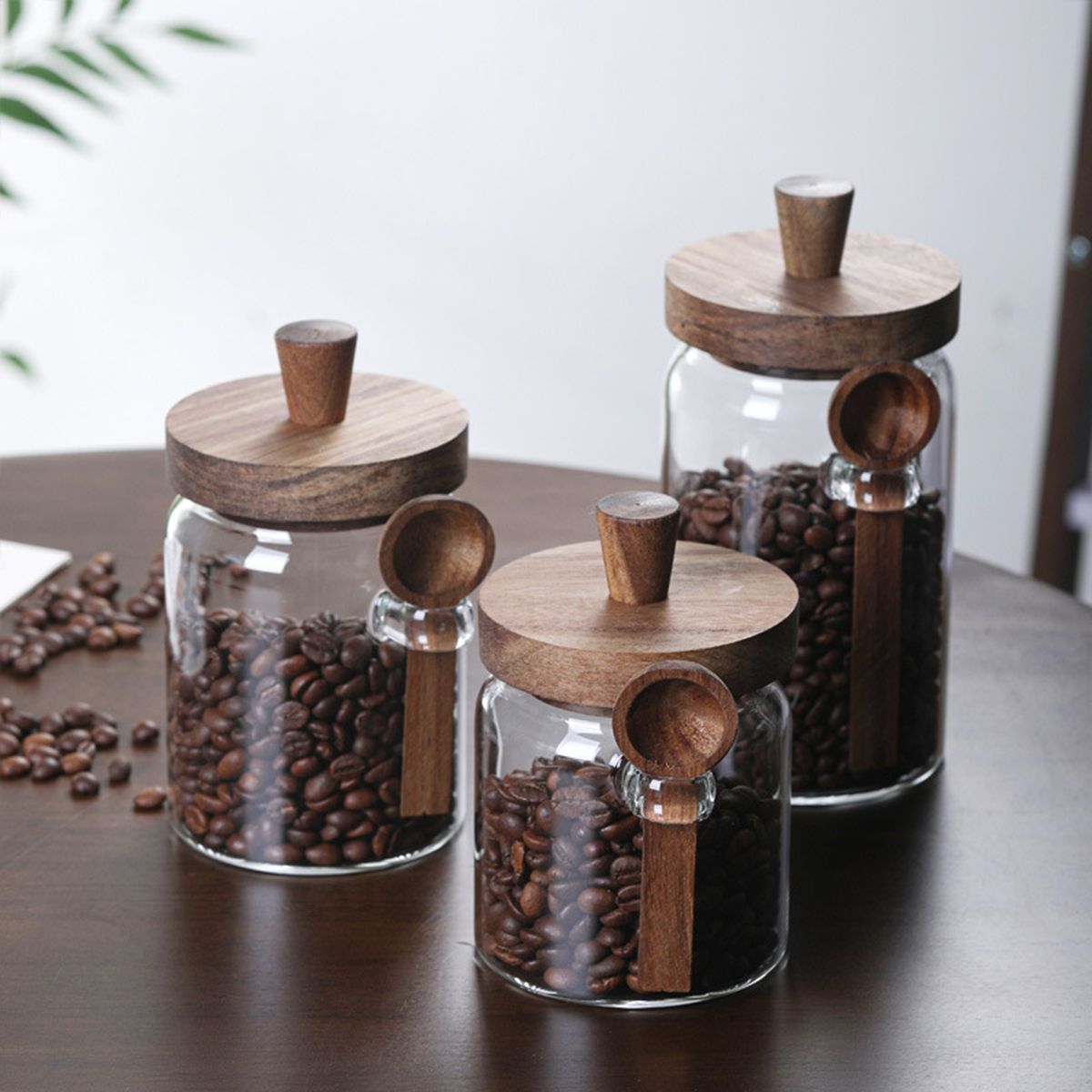 3 Pcs Glass Coffee Jars with Spoons 3